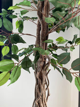 Planta artificial ficus verde 180cm